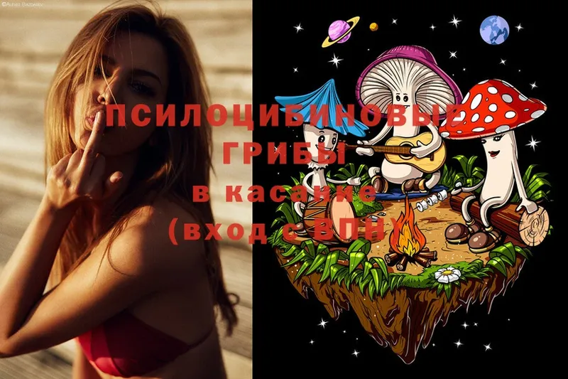 купить закладку  Гагарин  Галлюциногенные грибы MAGIC MUSHROOMS 